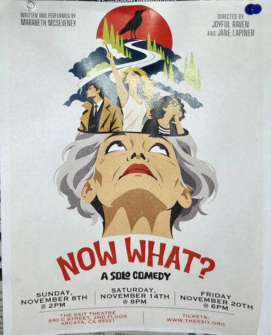 Flyer for Now What? A Solo Comedy