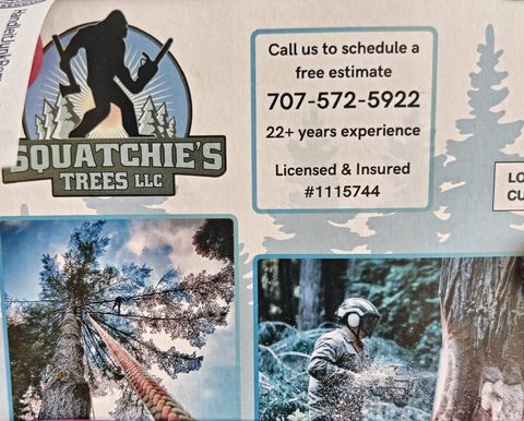 Flyer for Squatchie's Trees LLC
