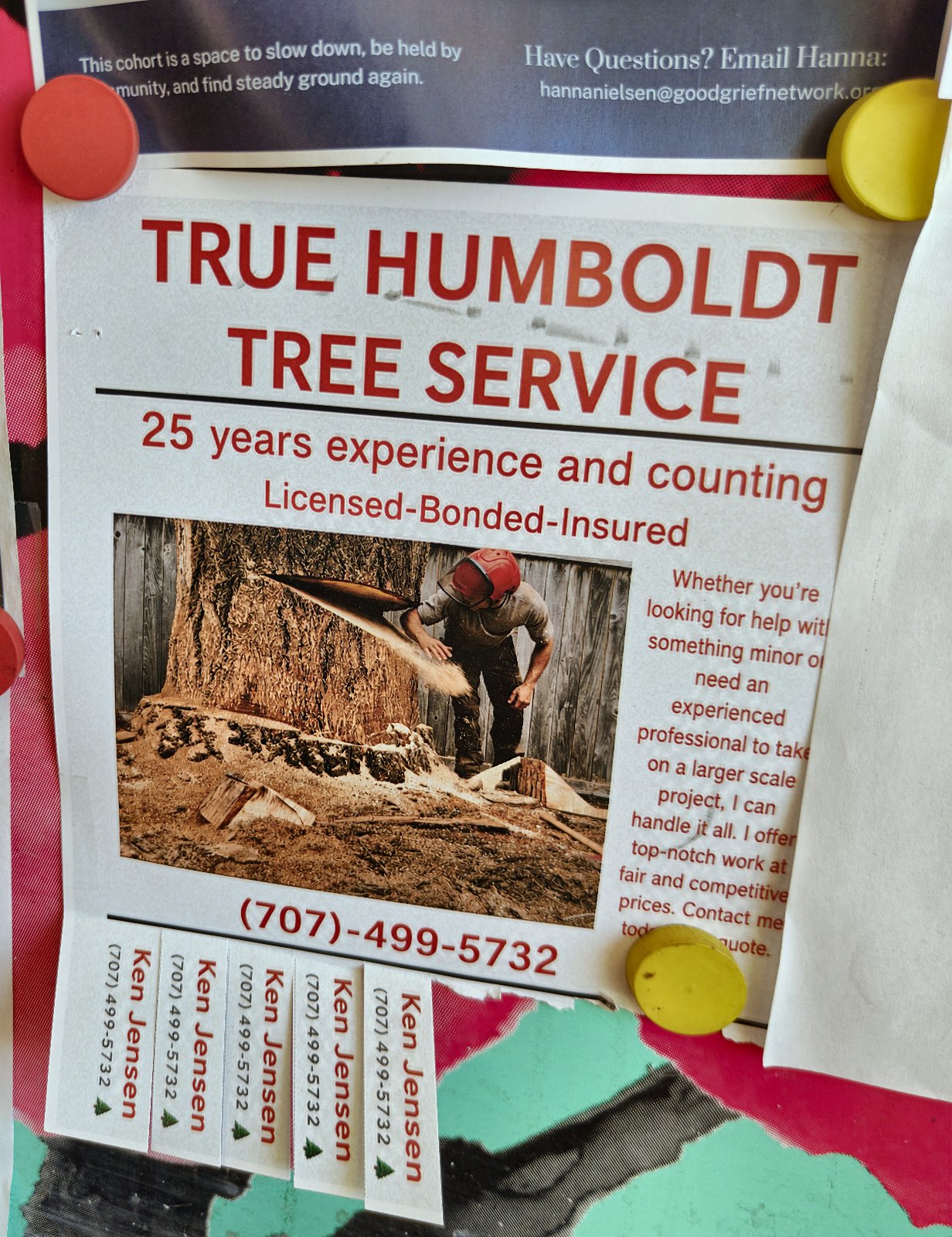 Flyer for True Humboldt Tree Service