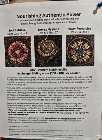 Flyer for Nourishing Authentic Power