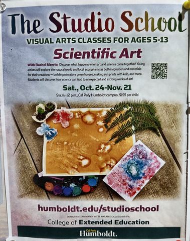 Flyer for The Studio School: Scientific Art