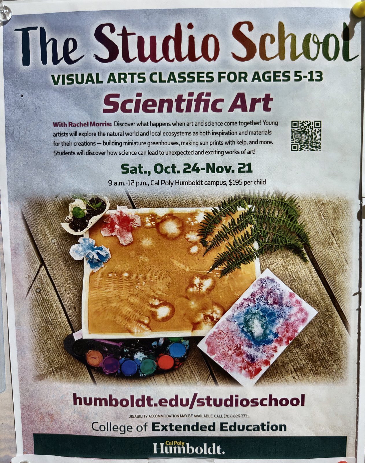 Flyer for The Studio School: Scientific Art