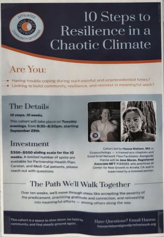 Flyer for 10 Steps to Resilience in a Chaotic Climate