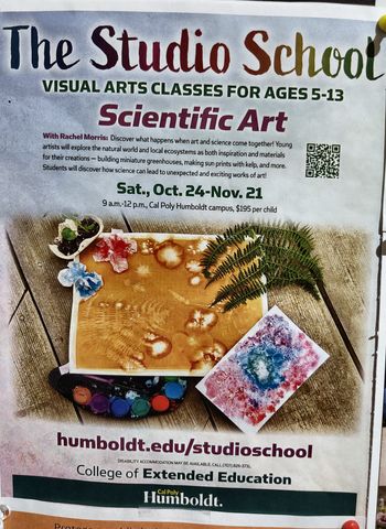 Flyer for Scientific Art