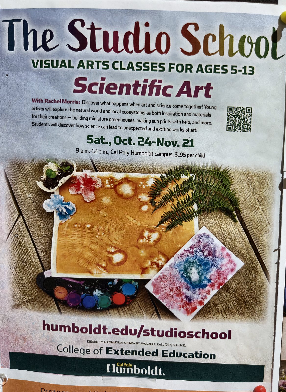 Flyer for Scientific Art