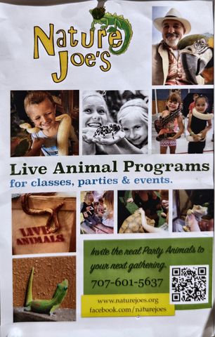 Flyer for Nature Joe's Live Animal Programs