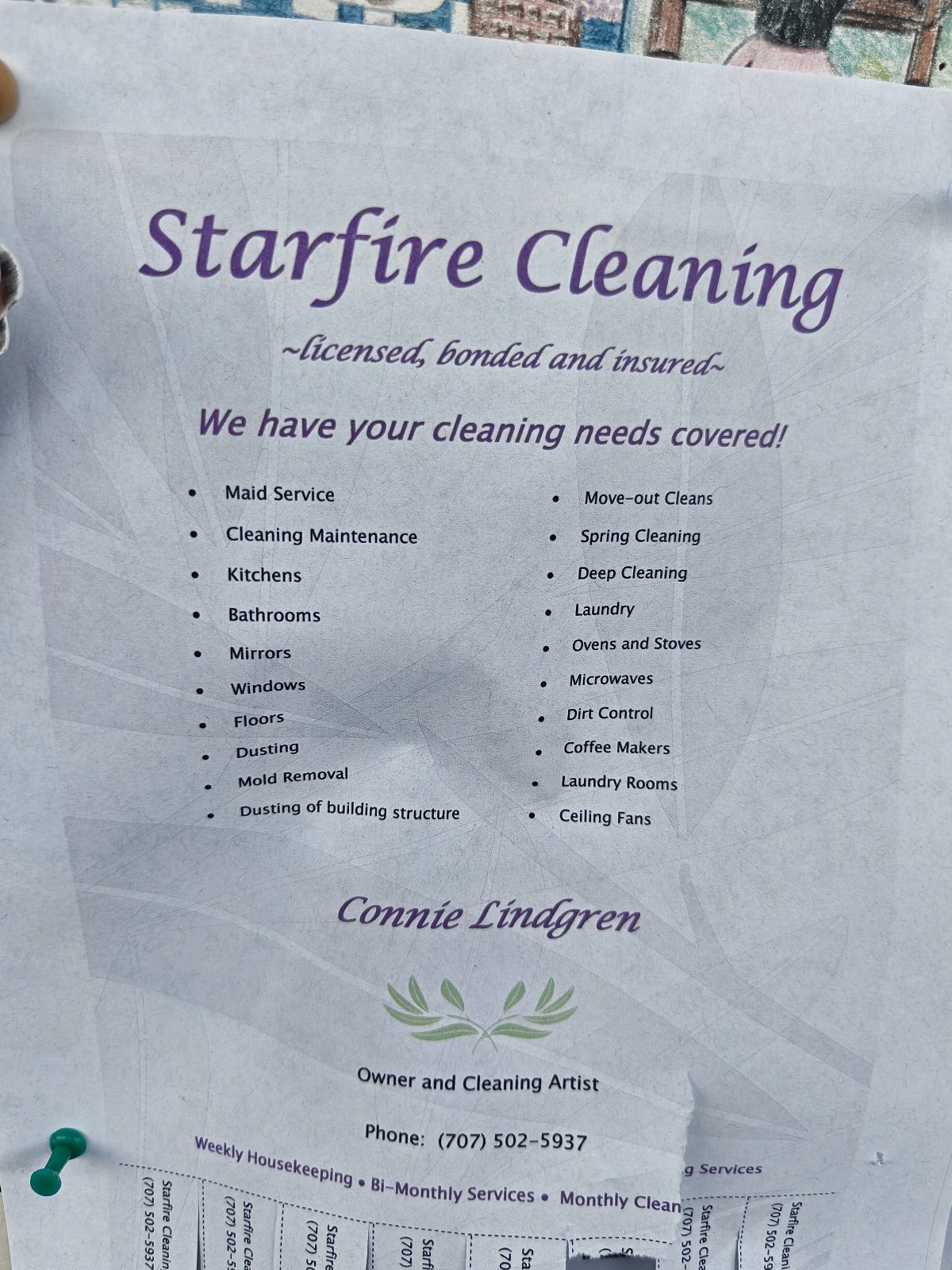 Flyer for Starfire Cleaning