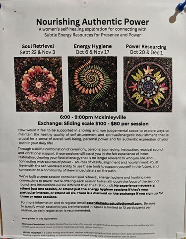 Flyer for Nourishing Authentic Power