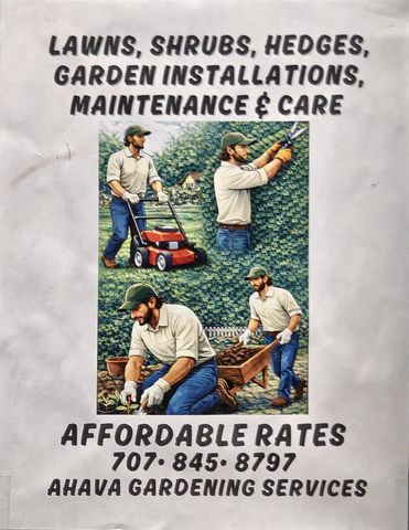 Flyer for Lawns, Shrubs, Hedges, Garden Installations, Maintenance & Care