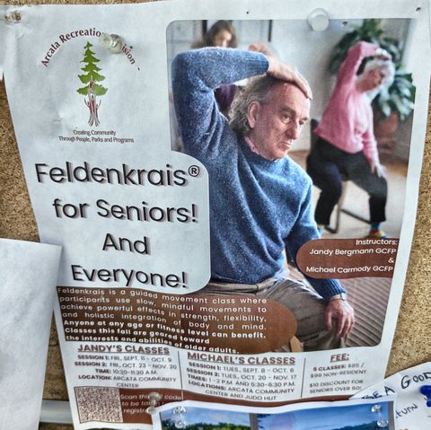 Flyer for Feldenkrais for Seniors! And Everyone!