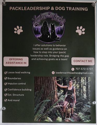 Flyer for Packleadership & Dog Training
