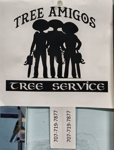 Flyer for Tree Amigos Tree Service