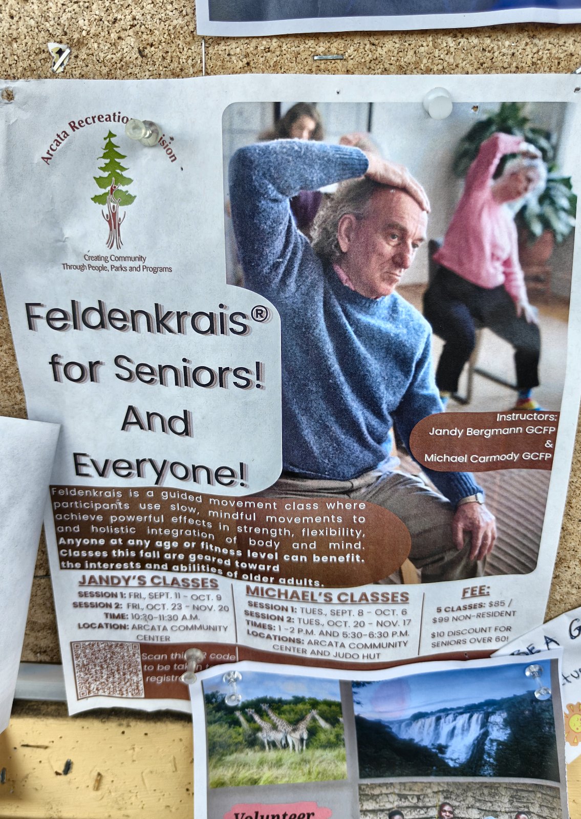 Flyer for Feldenkrais for Seniors! And Everyone!
