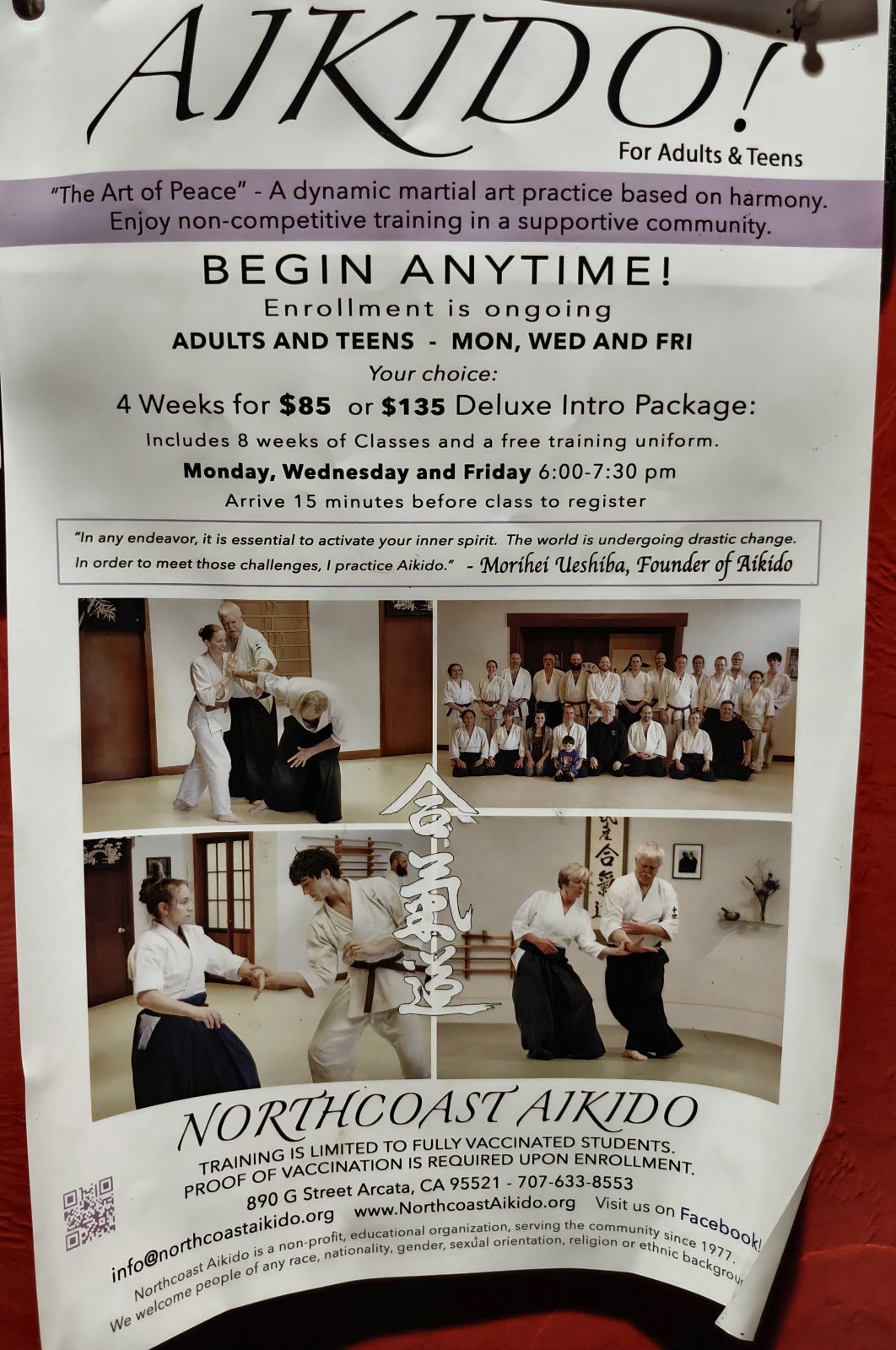 Flyer for Aikido for Adults & Teens