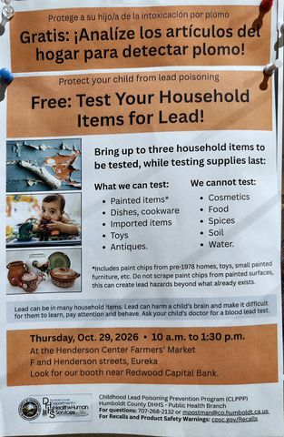 Flyer for Free: Test Your Household Items for Lead