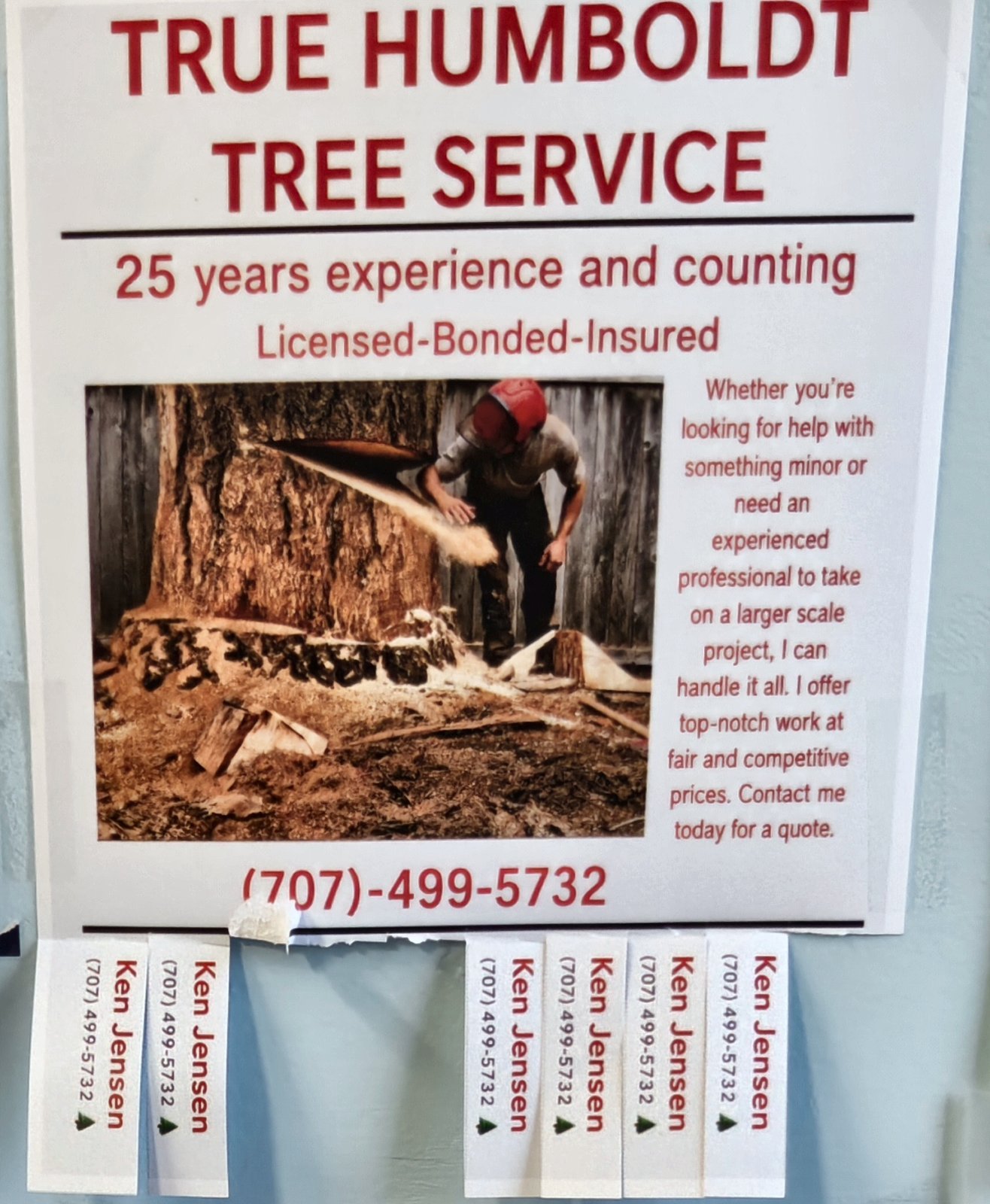 Flyer for True Humboldt Tree Service