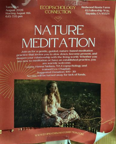 Flyer for Nature Meditation