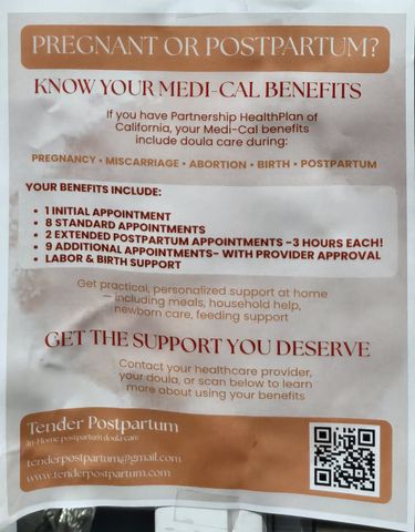 Flyer for Pregnant or Postpartum? Know Your Medi-Cal Benefits