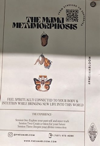 Flyer for The Mama Metamorphosis
